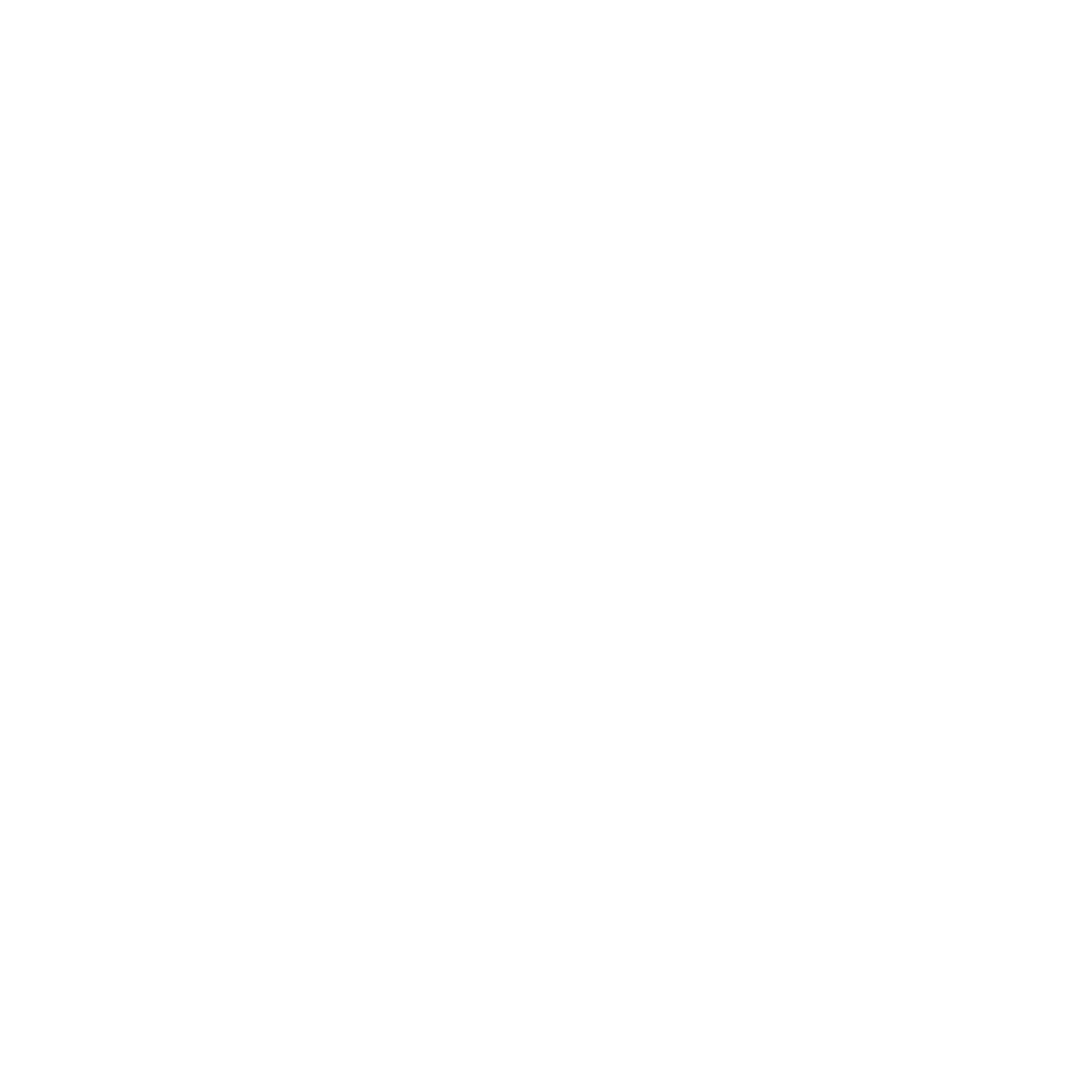 Social Icon