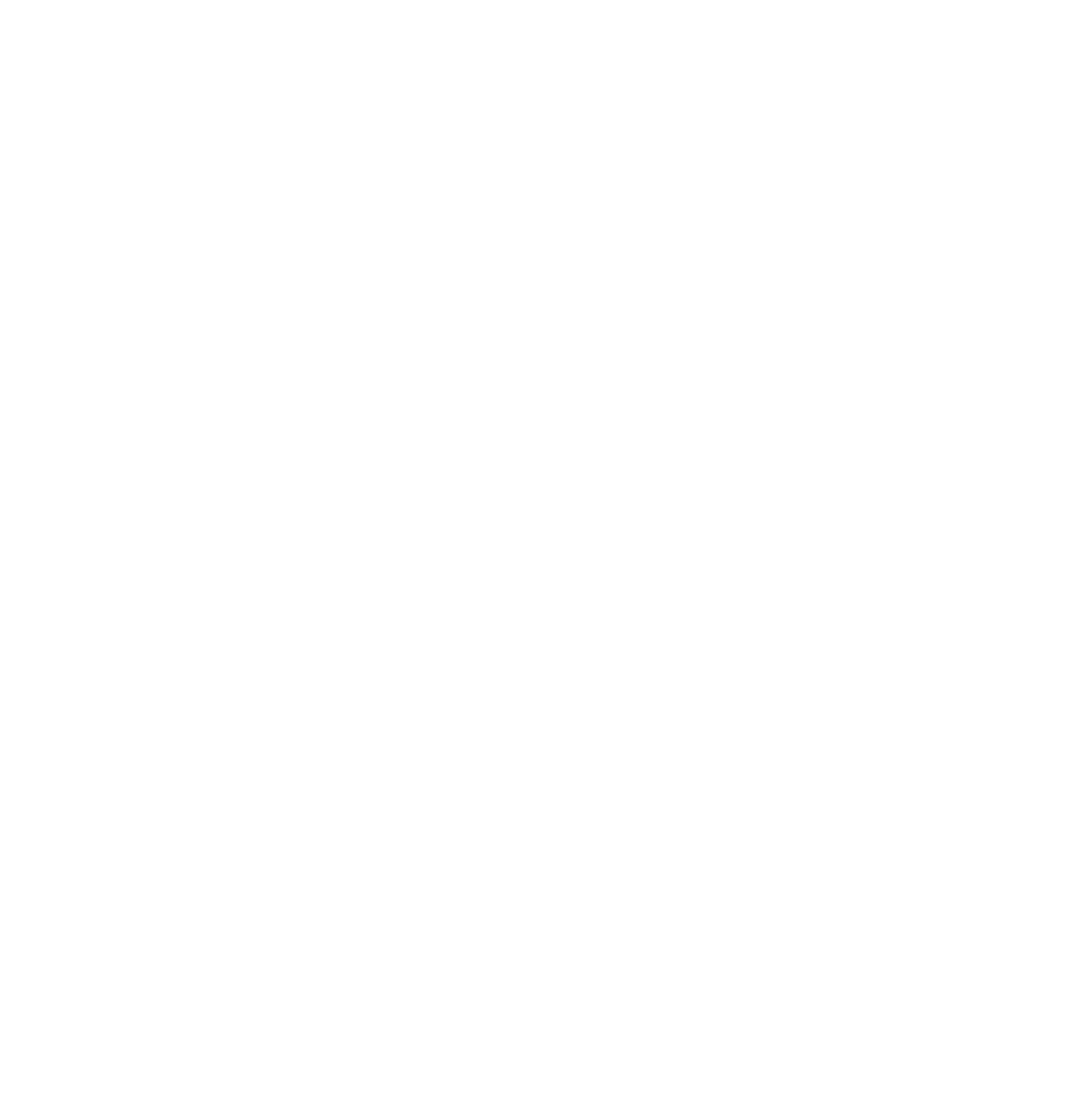 Social Icon